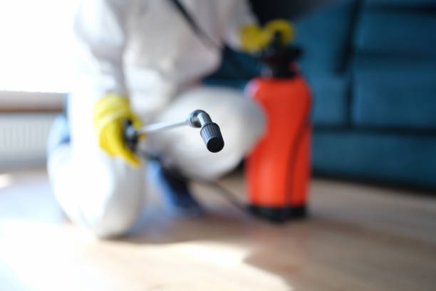 Professional Mold Inspection, Removal & Remediation in South Waverly, PA